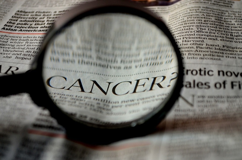 New Study Shows CBD Drastically Improves Survival Rates in Mice Treated for Pancreatic Cancer