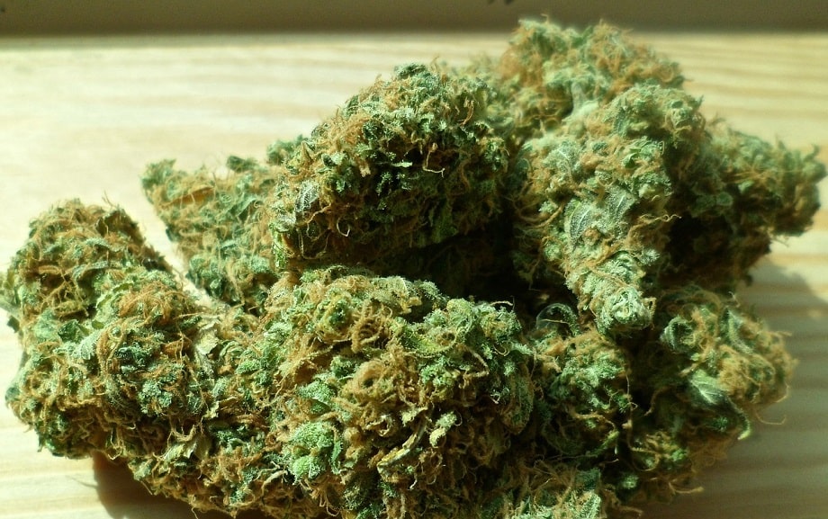 The “Entourage Effect” – Study Finds Full Spectrum CBD Oil Has Better Benefit for Epilepsy Patients
