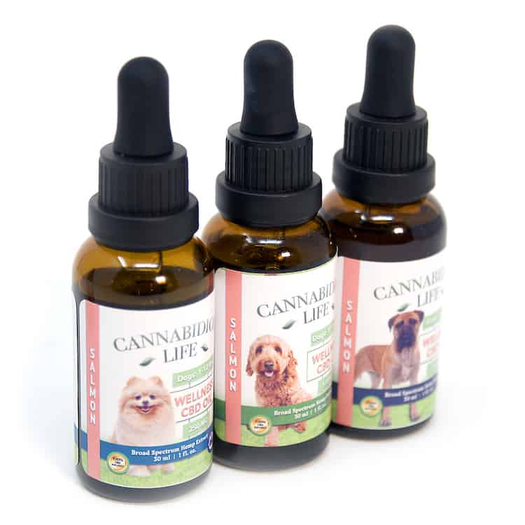 Best CBD Oil For Dogs & Pets In 2020 | Reviews & Where To Buy