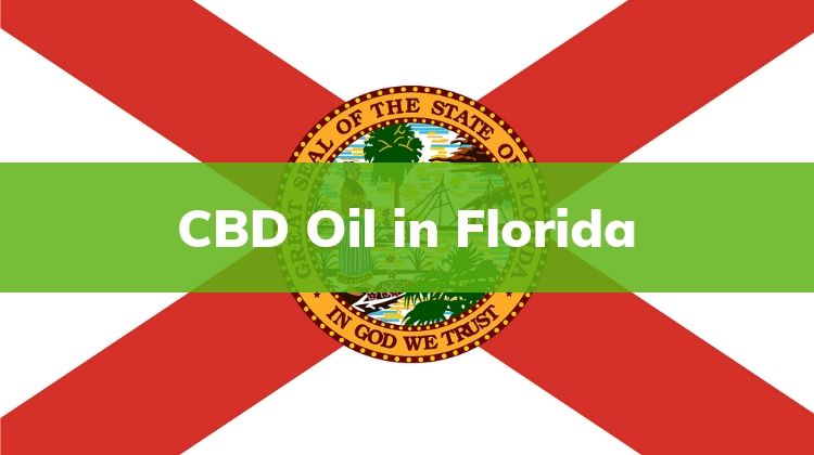 Excitement About What You Should Know About Cbd Oil In Miami