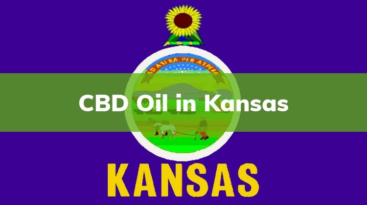 CBD Oil in Kansas