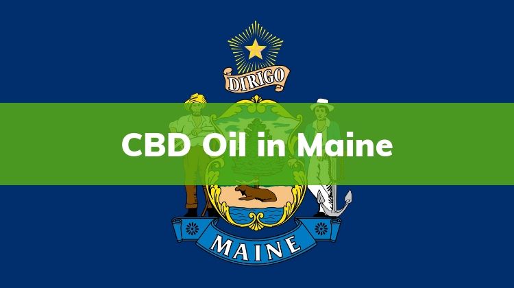 CBD Oil in Maine