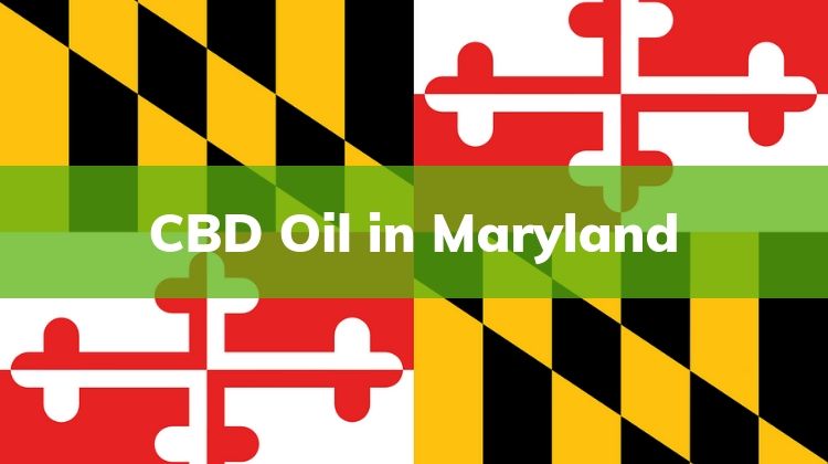 CBD Oil in Maryland