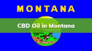 is cbd oil legal in the state of montana