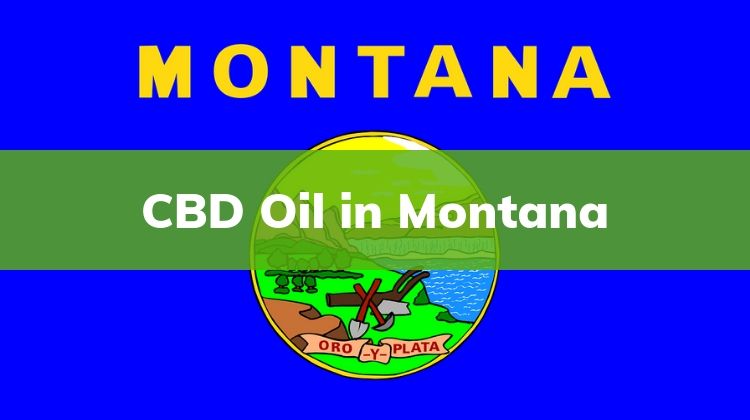 CBD Oil in Montana