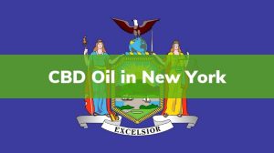 is cbd legal in ny 2020