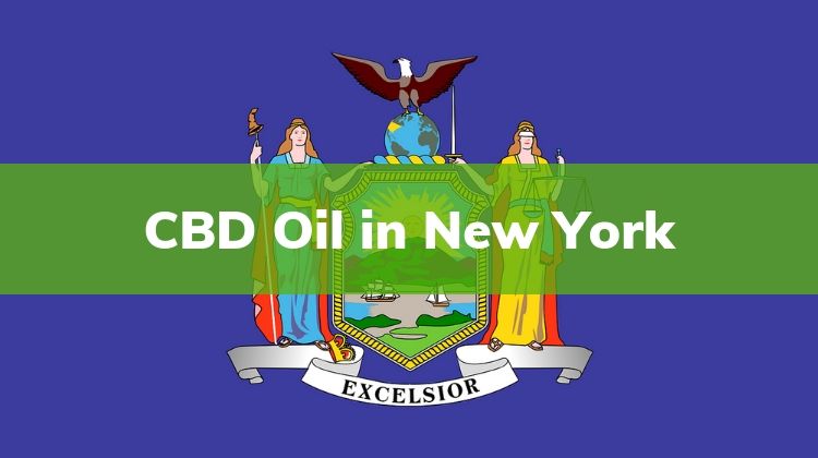 CBD Oil in New York