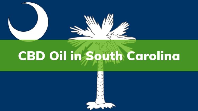 CBD Oil in South Carolina