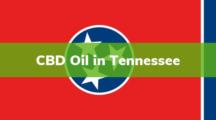 CBD Oil in Tennessee